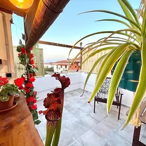 Casa Dionea, Сasa de vacaciones